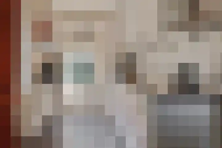 Jonkersweg 53 Winterswijk Meddo thumbnail 19