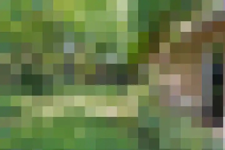 Jonkersweg 53 Winterswijk Meddo thumbnail 31