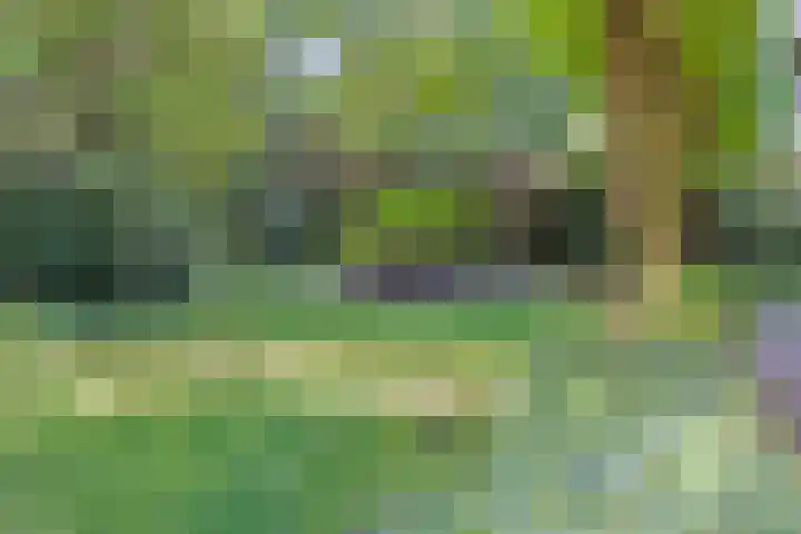 Jonkersweg 53 Winterswijk Meddo thumbnail 32