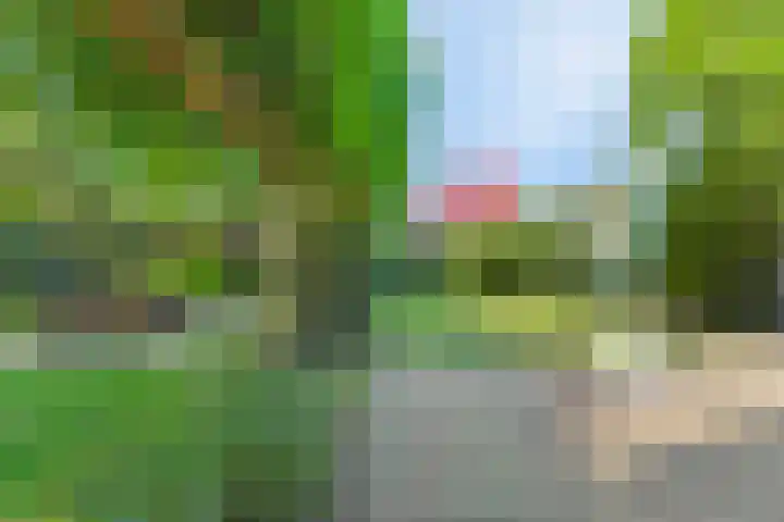 Jonkersweg 53 Winterswijk Meddo thumbnail 33