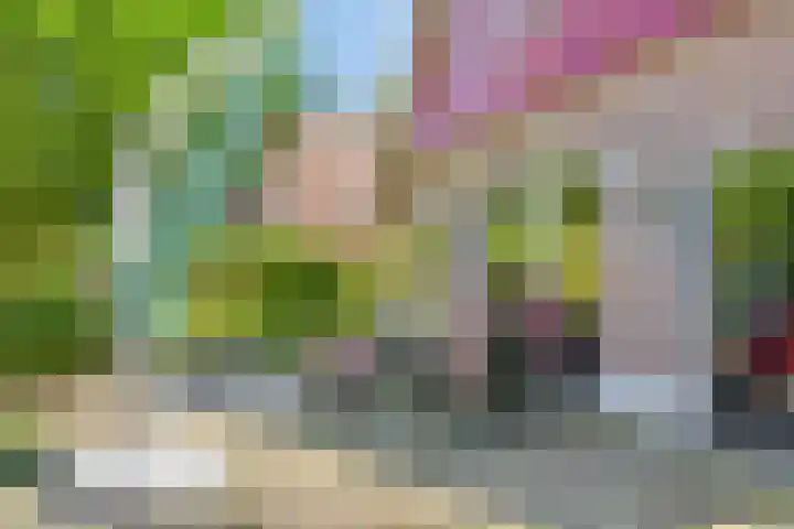 Jonkersweg 53 Winterswijk Meddo thumbnail 34