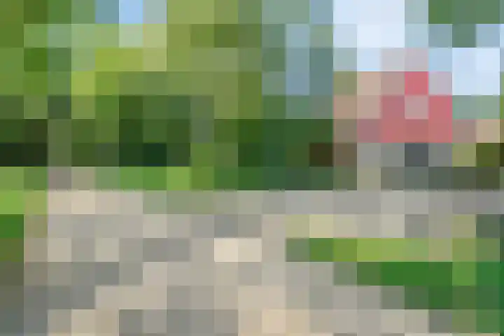 Jonkersweg 53 Winterswijk Meddo thumbnail 8