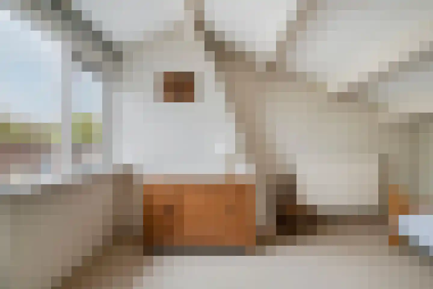 Jonkerveld 104 Uden thumbnail 27