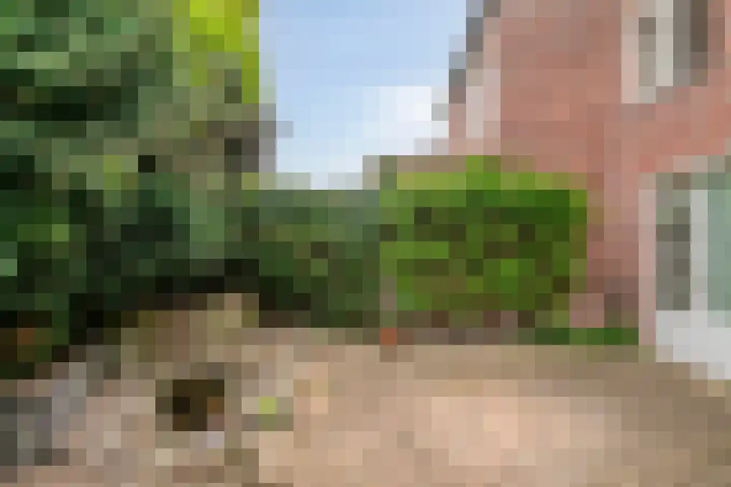 Jonkerveld 104 Uden thumbnail 39