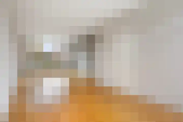 Jonkerveld 402 Uden thumbnail 11