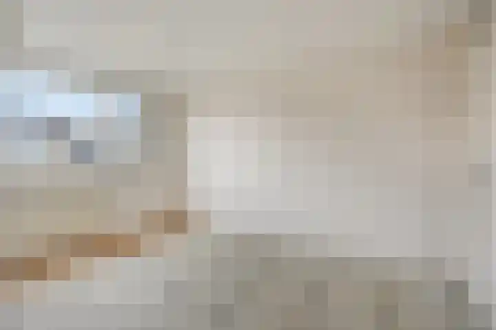 Jonkerveld 402 Uden thumbnail 16
