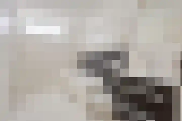 Jonkerveld 402 Uden thumbnail 20