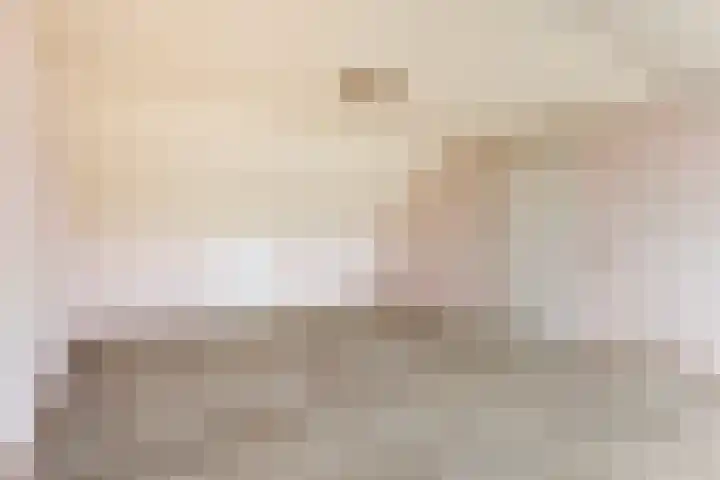 Jonkerveld 402 Uden thumbnail 26