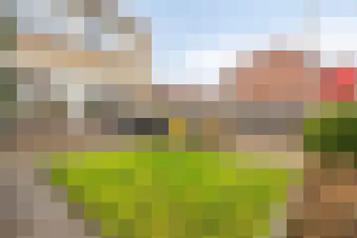 Jonkerveld 402 Uden thumbnail 27