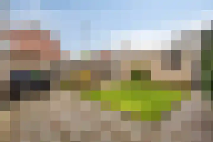 Jonkerveld 402 Uden thumbnail 29