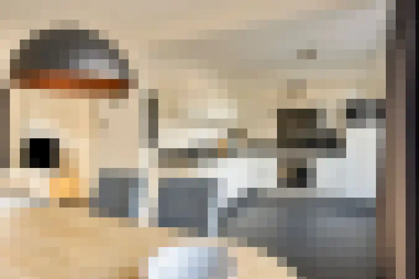 Jonkerveld 410 Uden thumbnail 10