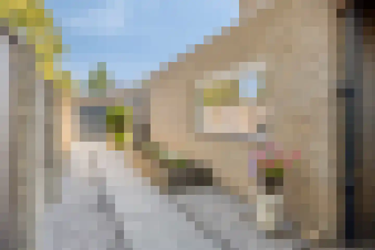 Jonkerveld 711 Uden thumbnail 36