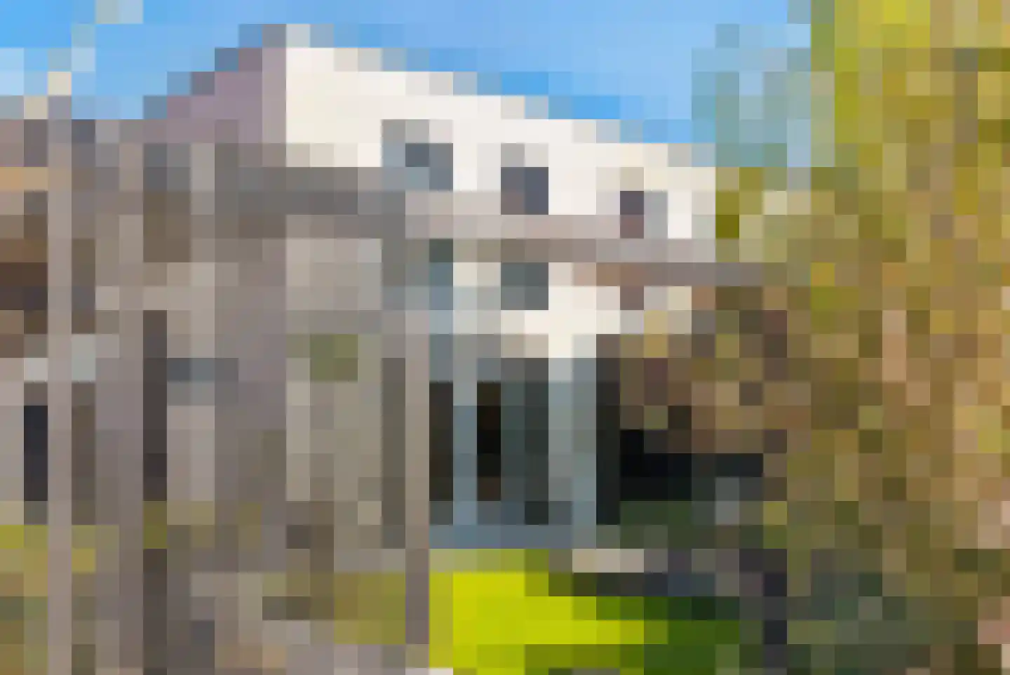 Jonkerwaard 17 Arnhem thumbnail 36