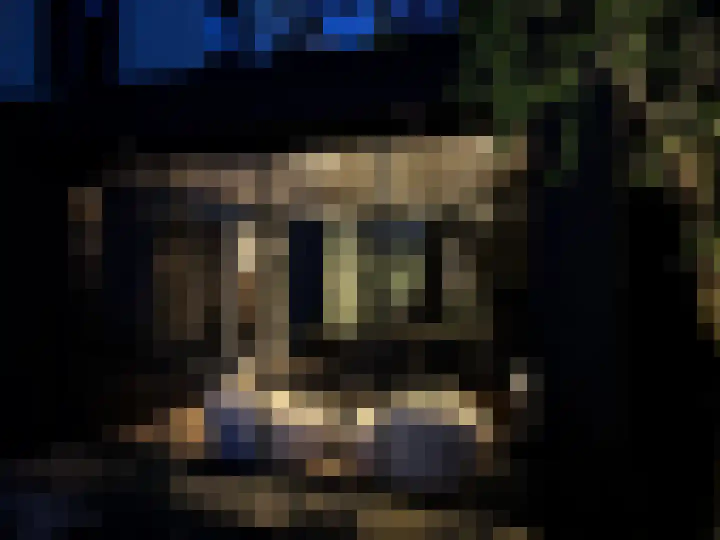 Jonkerwaard 17 Arnhem thumbnail 41