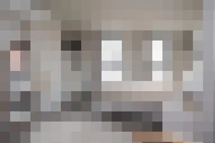 Jonkerwaard 71 Arnhem thumbnail 29