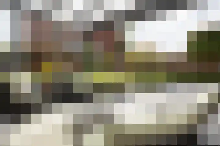 Jonkerwaard 71 Arnhem thumbnail 40
