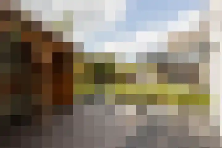 Jonkerwaard 71 Arnhem thumbnail 41