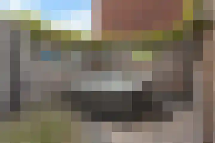 Jonkerwaard 71 Arnhem thumbnail 42