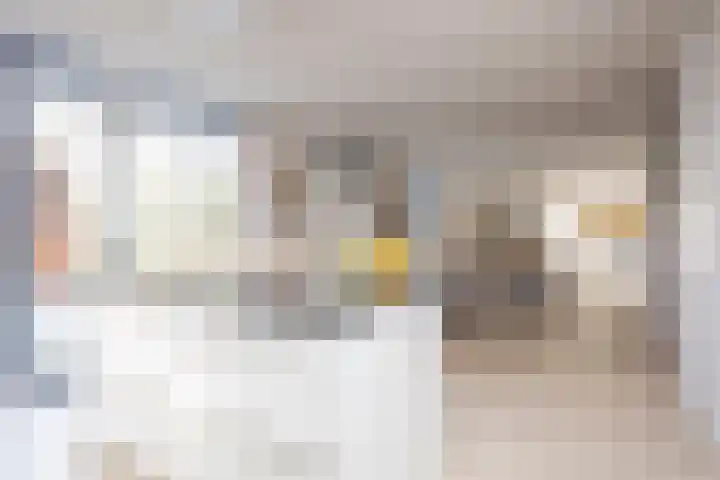 Jonkerwaard 71 Arnhem thumbnail 5