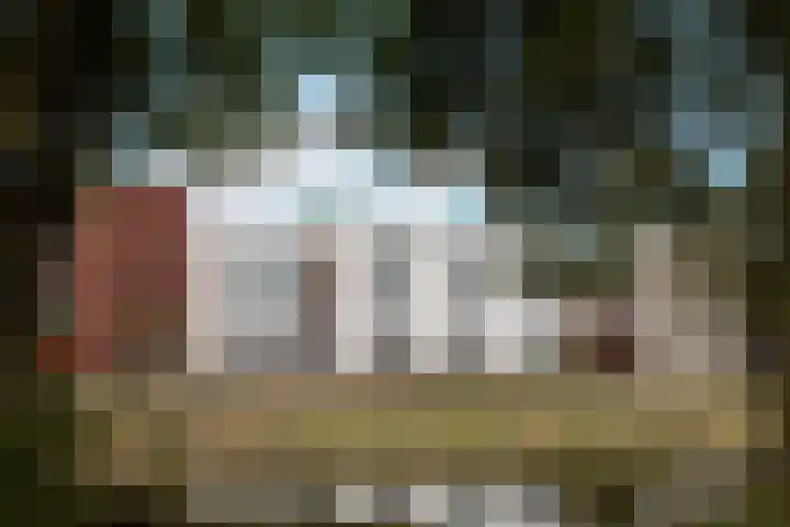 Jonkerwaard 71 Arnhem thumbnail 53