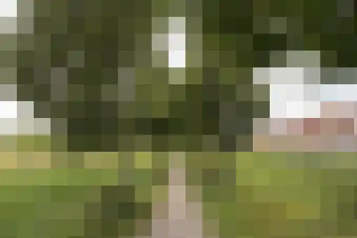 Jonkerwaard 71 Arnhem thumbnail 55