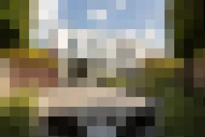 Jonkerwaard 71 Arnhem thumbnail 58