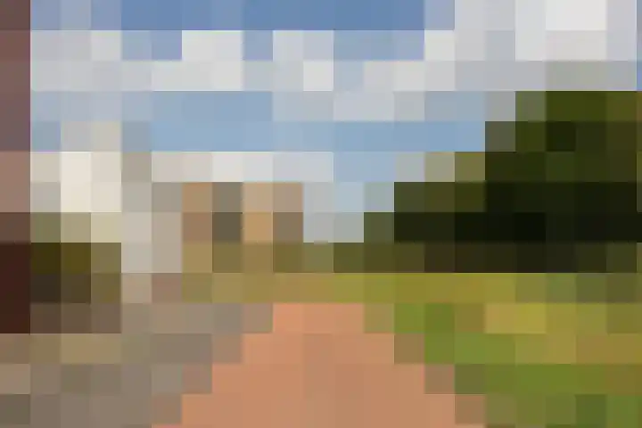 Jonkerwaard 71 Arnhem thumbnail 60