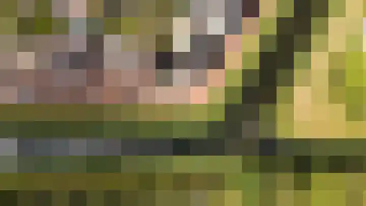 Jonkerwaard 71 Arnhem thumbnail 62