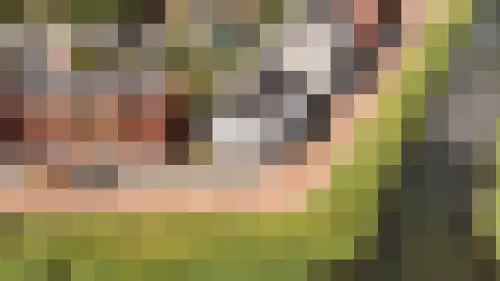 Jonkerwaard 71 Arnhem thumbnail 63