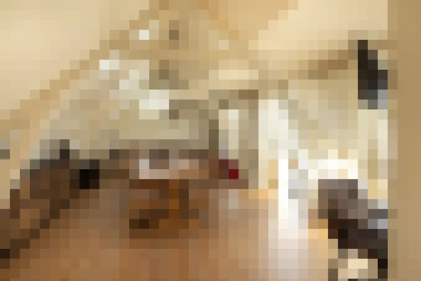 Jonkerweg 19 Hilversum thumbnail 25