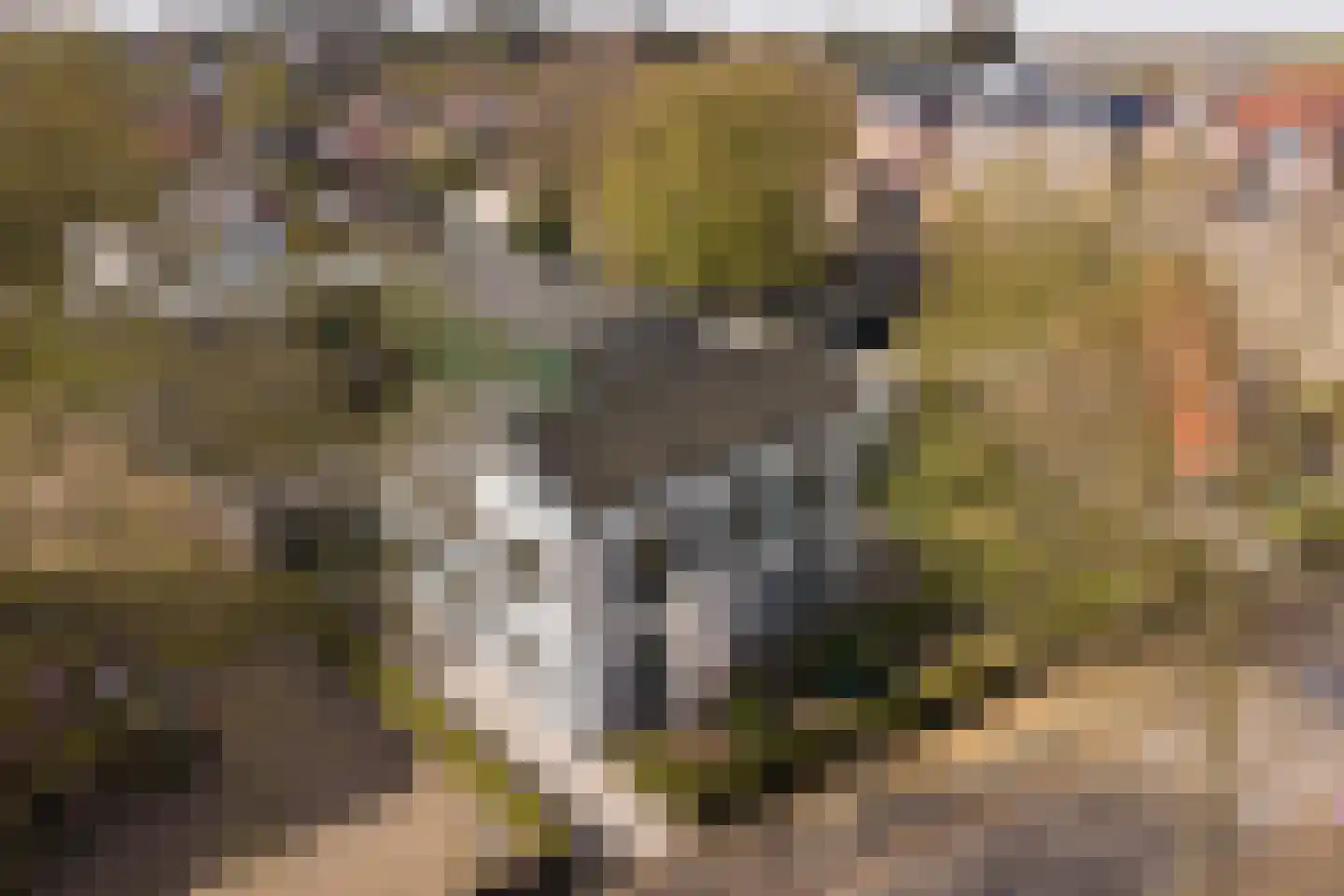 Jonkerweg 19 Hilversum thumbnail 43