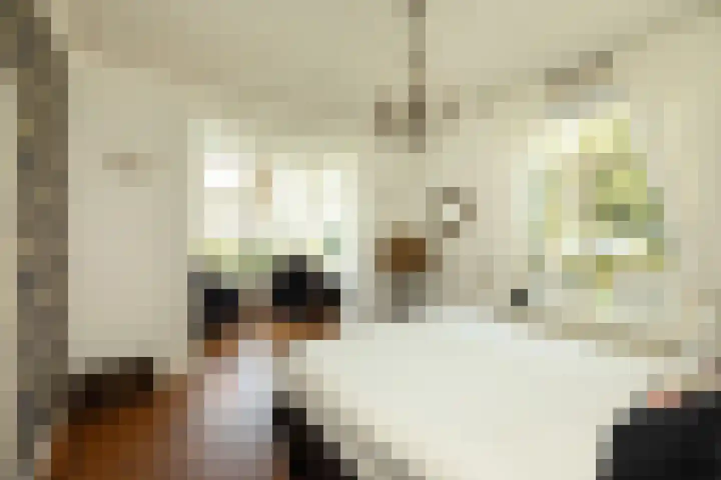 Jonkerweg 19 Hilversum thumbnail 8