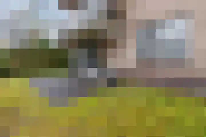 Jonkerweg 23 B Hilversum thumbnail 17