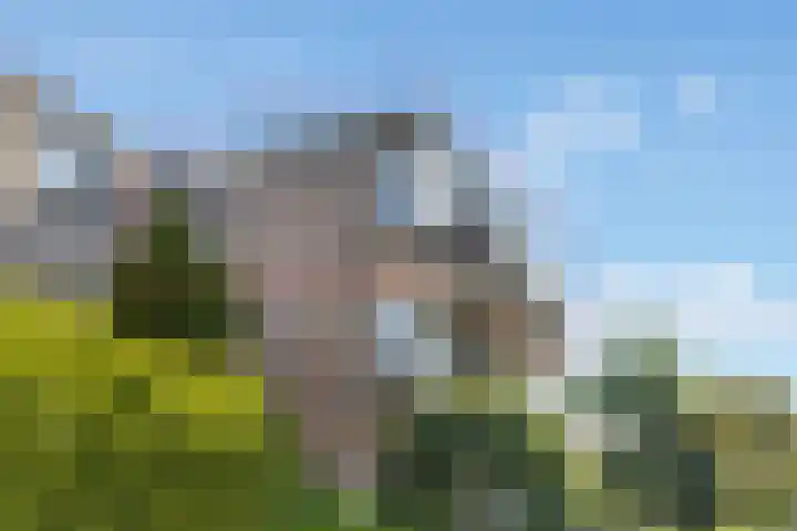 Jonkerweg 27 D Hilversum thumbnail 26
