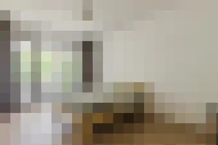 Jonkheer 11 Geldrop thumbnail 10