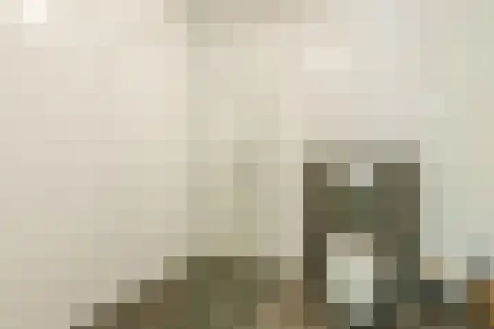 Jonkheer 11 Geldrop thumbnail 12