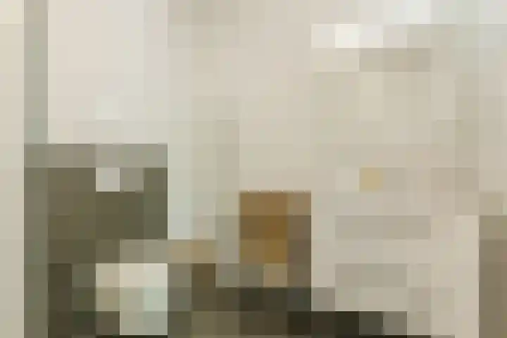 Jonkheer 11 Geldrop thumbnail 13