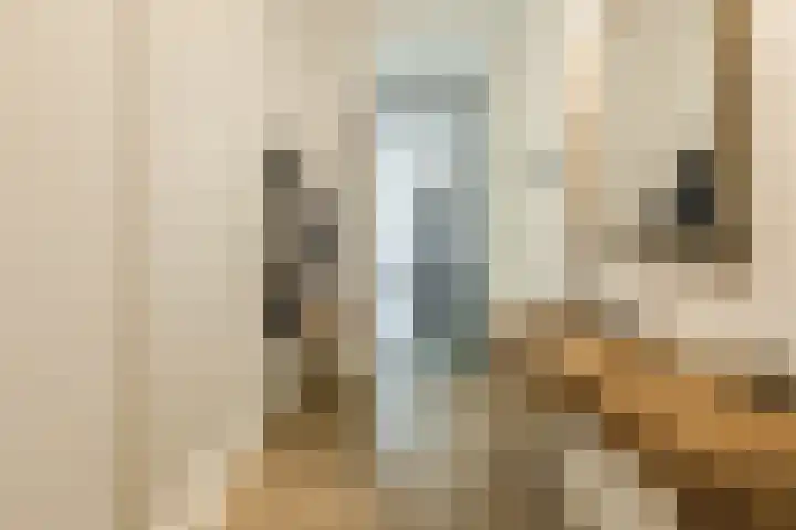 Jonkheer 11 Geldrop thumbnail 17