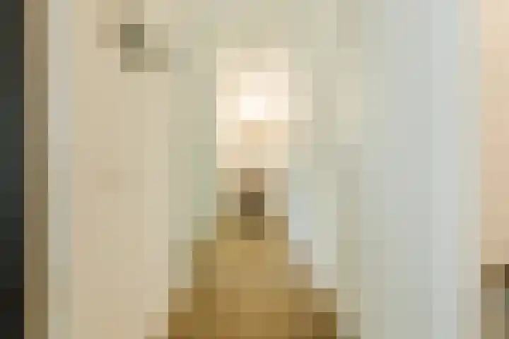 Jonkheer 11 Geldrop thumbnail 18