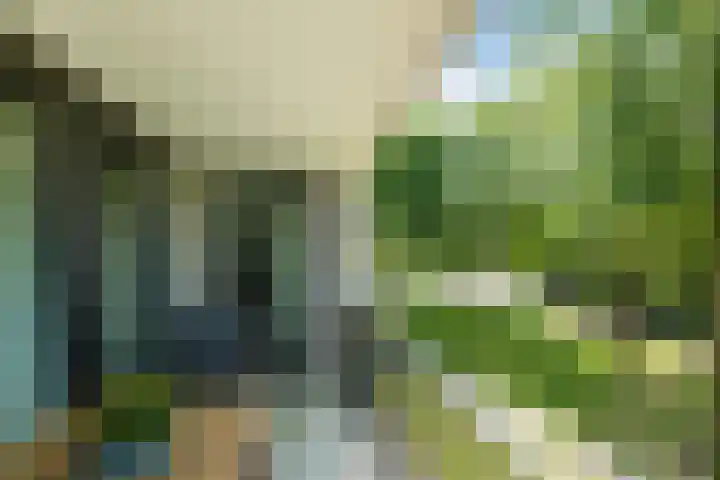 Jonkheer 11 Geldrop thumbnail 19