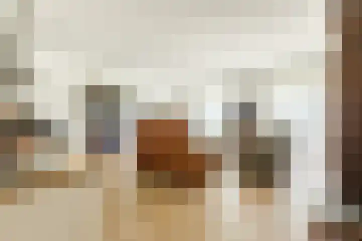 Jonkheer 11 Geldrop foto 2