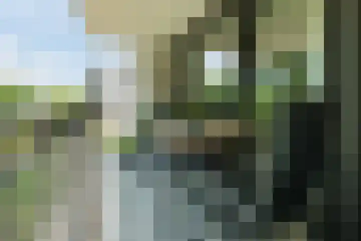 Jonkheer 11 Geldrop thumbnail 20
