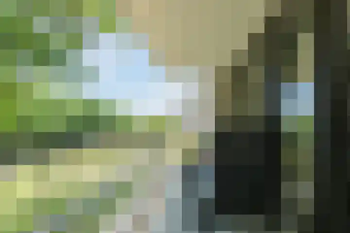 Jonkheer 11 Geldrop thumbnail 21