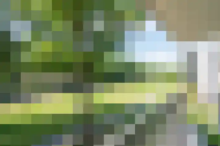 Jonkheer 11 Geldrop thumbnail 22