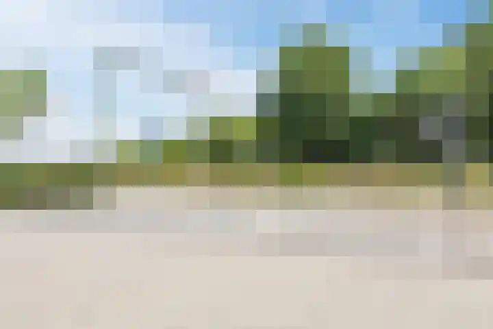 Jonkheer 11 Geldrop thumbnail 23