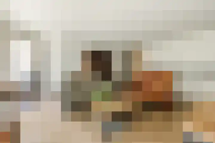 Jonkheer 11 Geldrop thumbnail 4