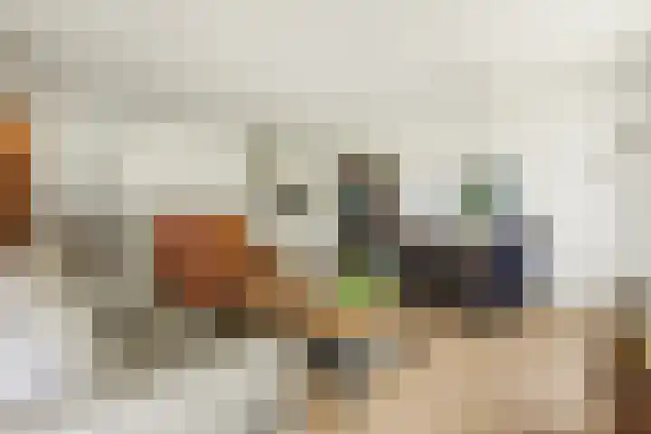 Jonkheer 11 Geldrop thumbnail 5