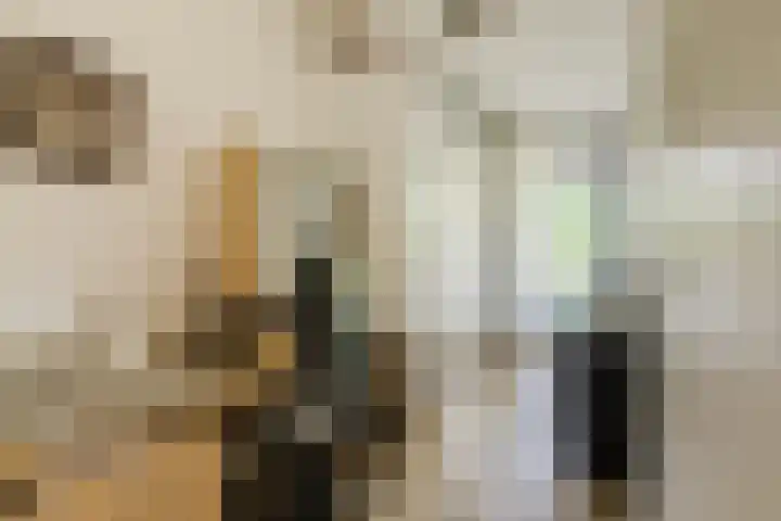 Jonkheer 11 Geldrop thumbnail 8
