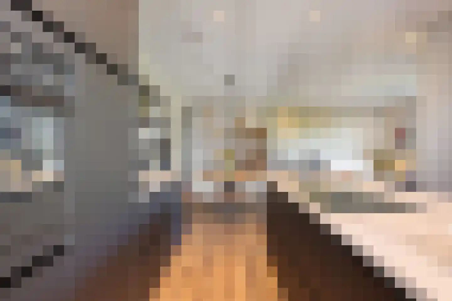 Jonkheer 35 Geldrop thumbnail 10