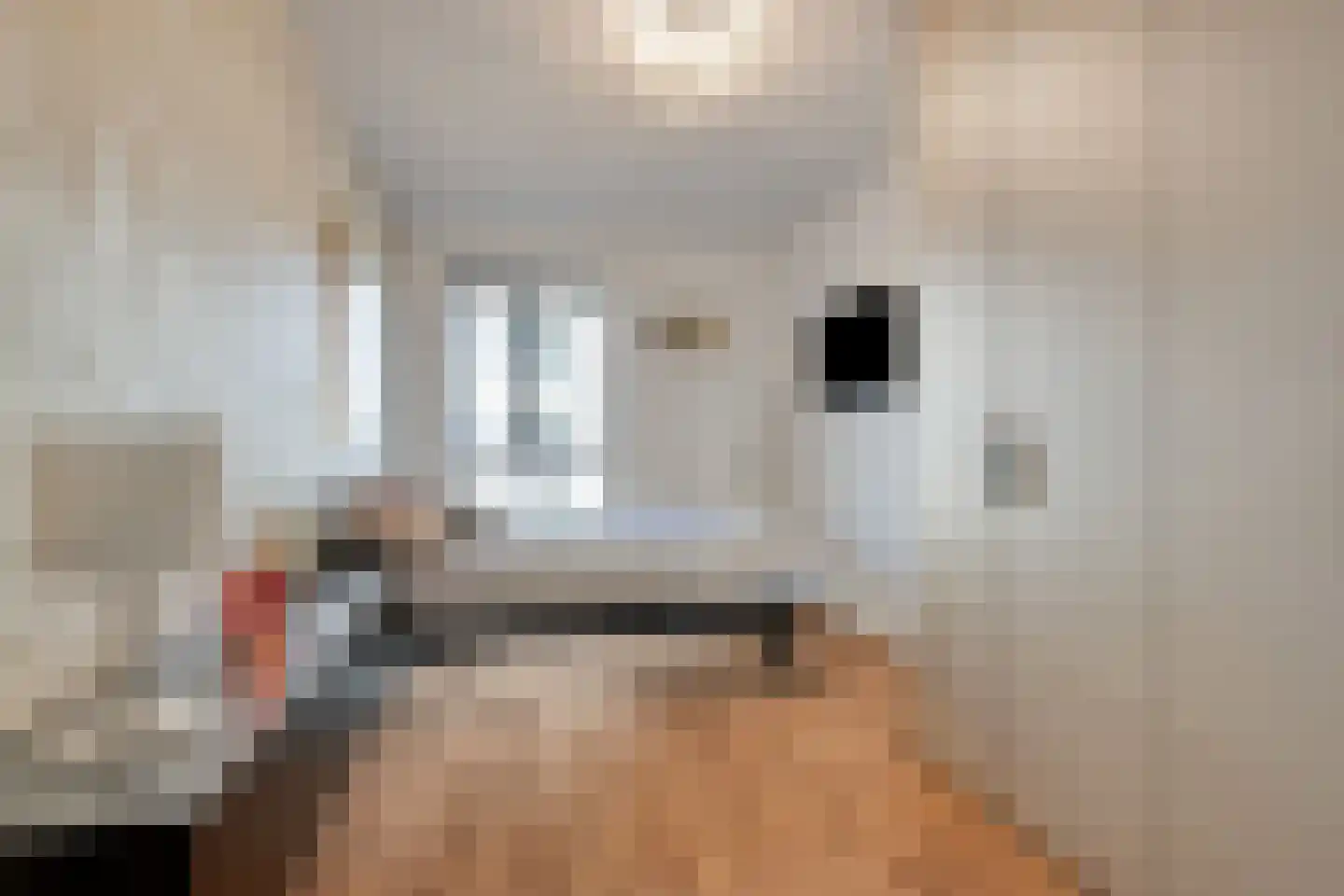 Jonkheer 35 Geldrop thumbnail 17